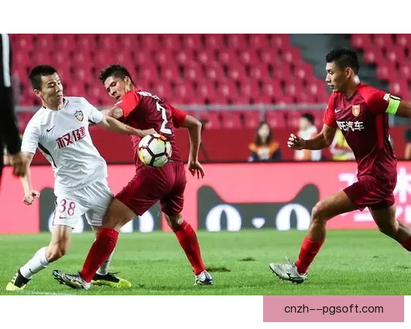 中国足协职业联赛财务审计与管理规范深化研究 中国足协职业联赛财务审计与管理规范深化研究
